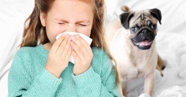 people are allergic to animals